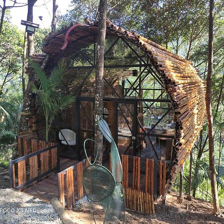 Glamping San Luis Nativa 호텔 외부 사진