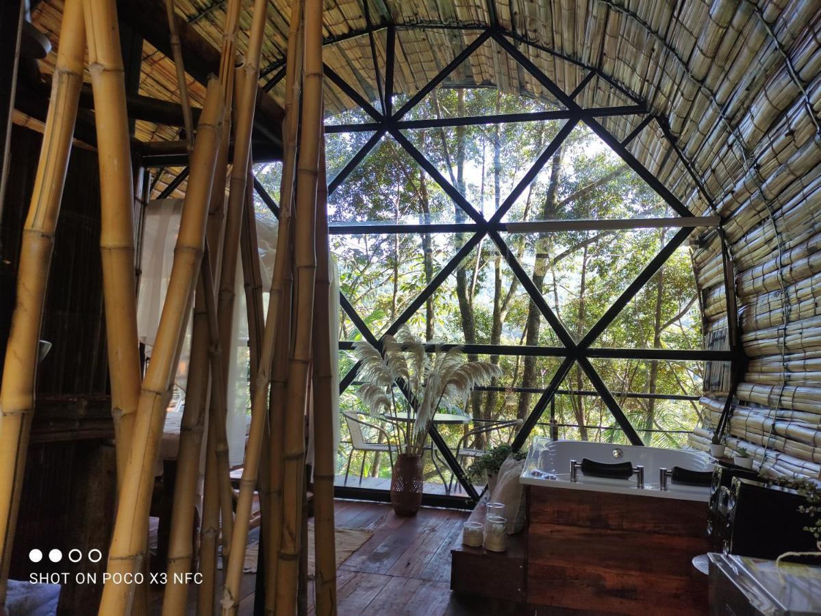 Glamping San Luis Nativa 호텔 외부 사진